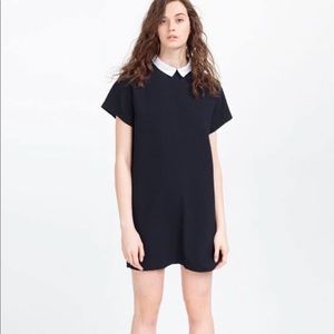 Zara black dress with white collar